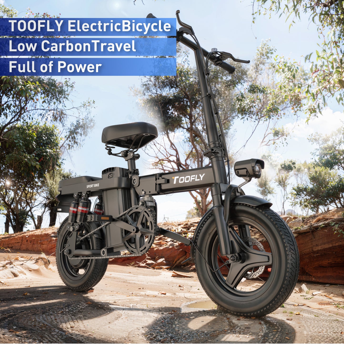 Electric Bikes Black