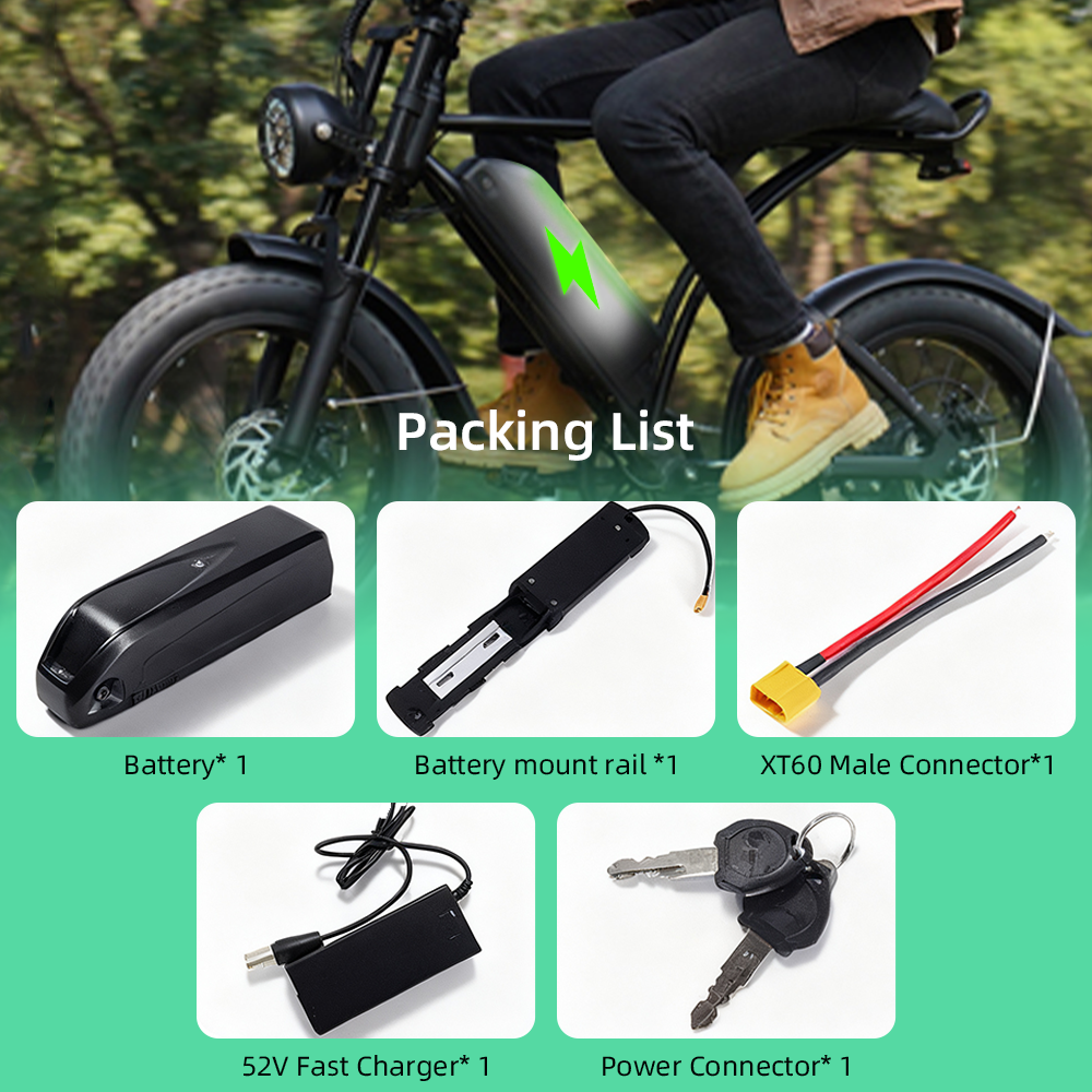 Hailong 48V 15Ah Ebike Battery 13S7P Up to 672Wh Capacity, 1000+ Cycles, Indicator Light 40A BMS for 500W–1800W Electric Bikes, Tricycles, and Mountain Models